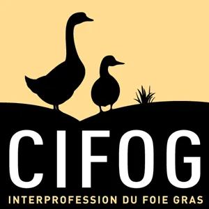 CIFOG